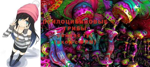 хмурый Нягань