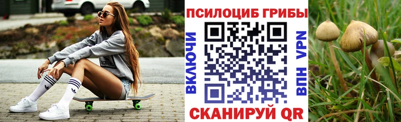 Псилоцибиновые грибы MAGIC MUSHROOMS  omg зеркало  Чита 