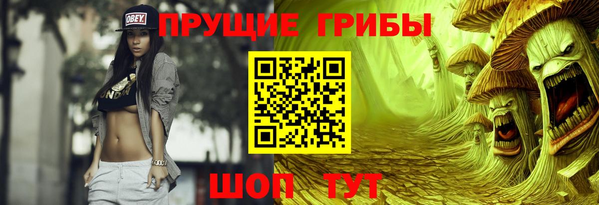 Псилоцибиновые грибы GOLDEN TEACHER  Вход с VPN  Чита 