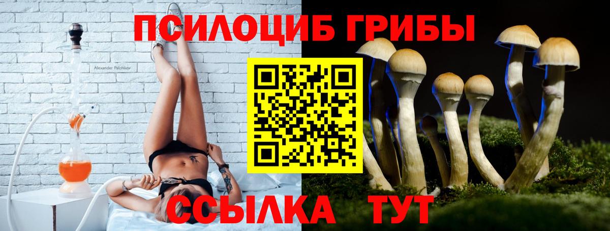 Галлюциногенные грибы мухоморы Чита